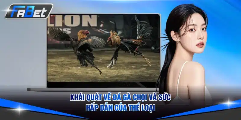 Khái quát về đá gà chọi và sức hấp dẫn của thể loại