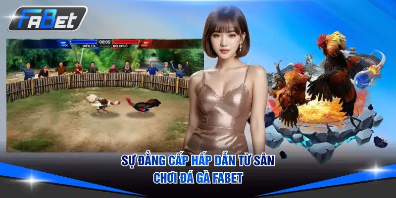 Sự đẳng cấp hấp dẫn từ sân chơi đá gà FABET