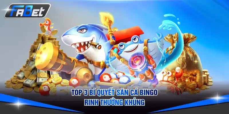 Top 3 bí quyết săn cá Bingo rinh thưởng khủng